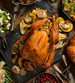 Turkey2Go
